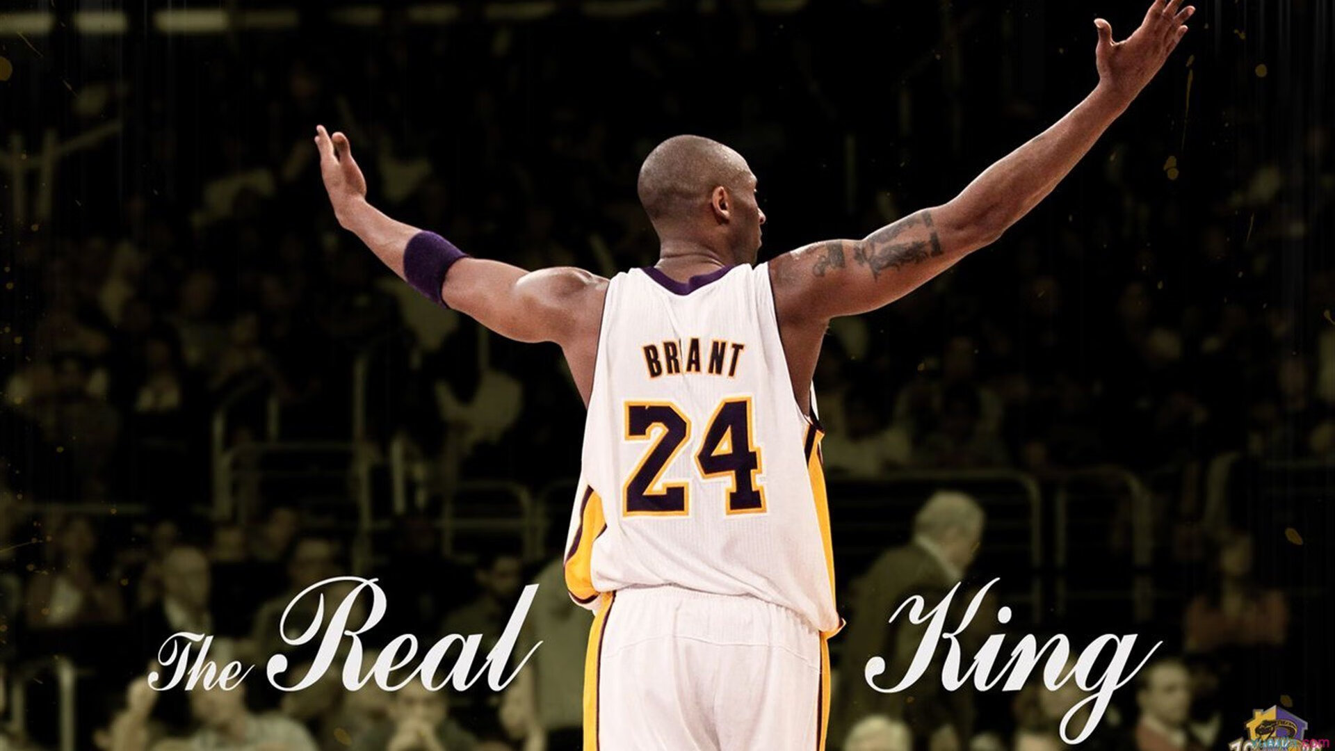 “篮动未来”青少年篮球创新挑战赛火热开启，青少年篮球比赛策划方案